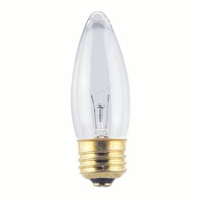 WP2PK40WB11CLR TorpBulb