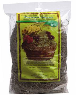 180CUIN Spanish Moss