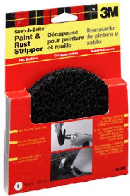 Paint/Rust Stripper