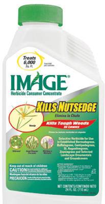 Image 24OZ Weed Killer
