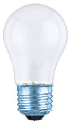 40W Fros LGT Bulb