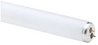 GE 14W CW Fluo Bulb