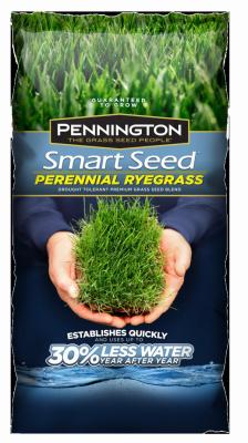 3LB Smart PerenRye Seed