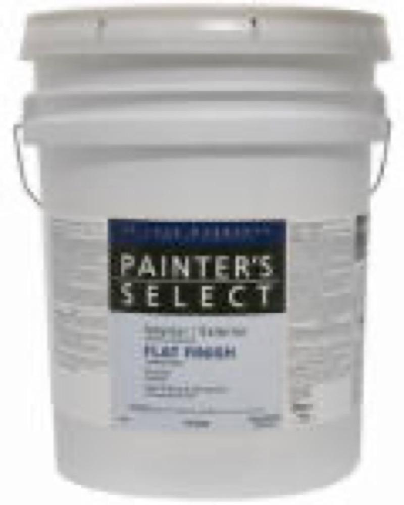 PS 5GAL Tint FLT Paint