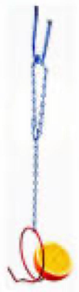 4" Sliced Fruit Feeder