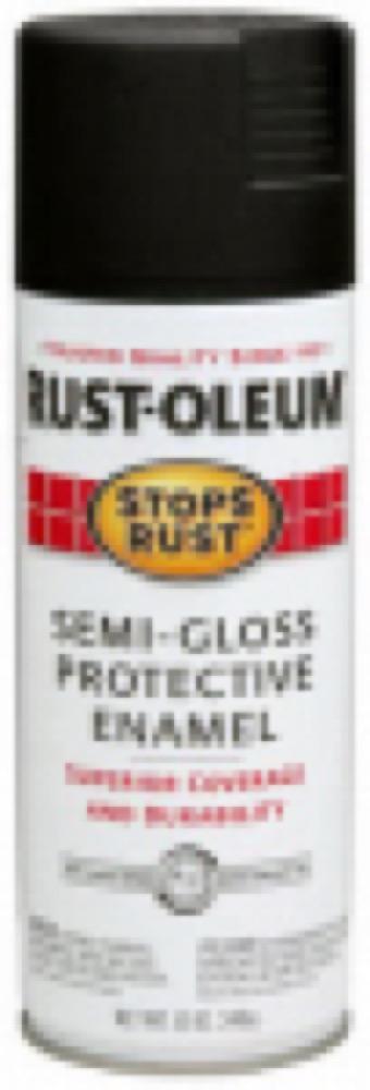 12OZ BLK SG Spray Paint