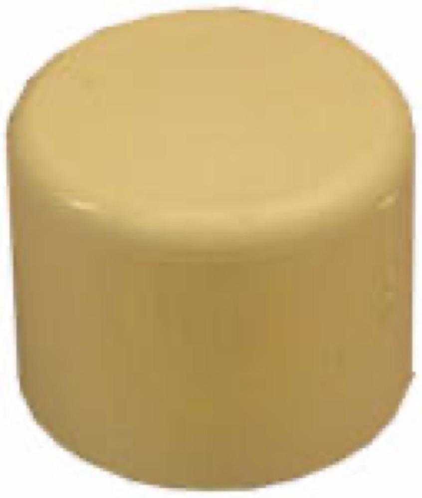 3/4 CPVC Cap