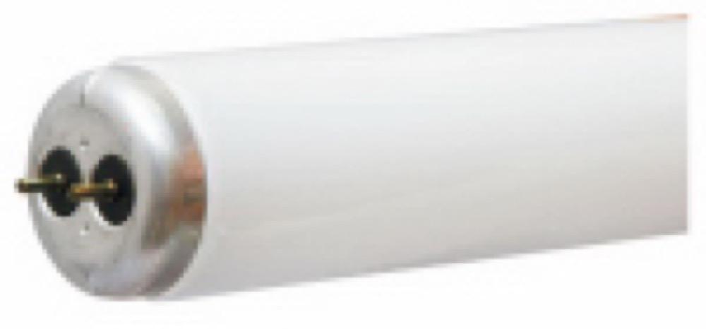 WP 48" 34W CW Fluo Tube