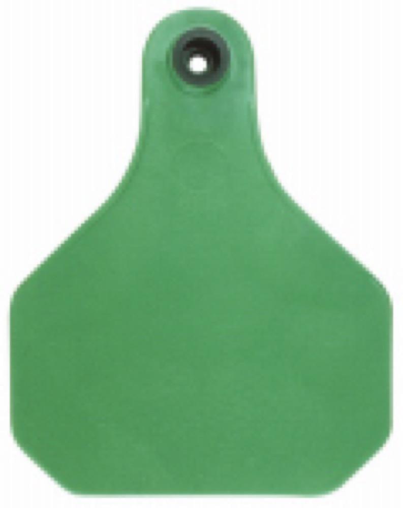 20PK Warrior Insect Tag