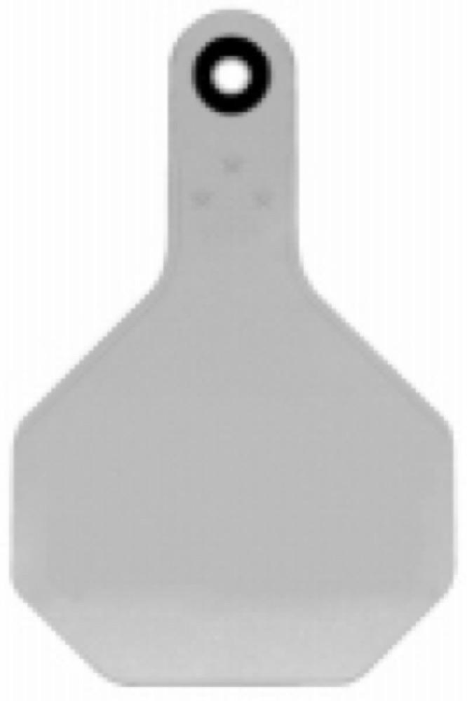 25PK MED WHT Blank Tag