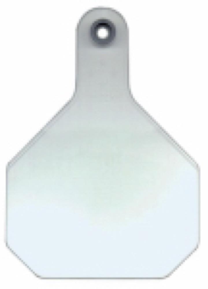 25PK LG WHT Blank Tag