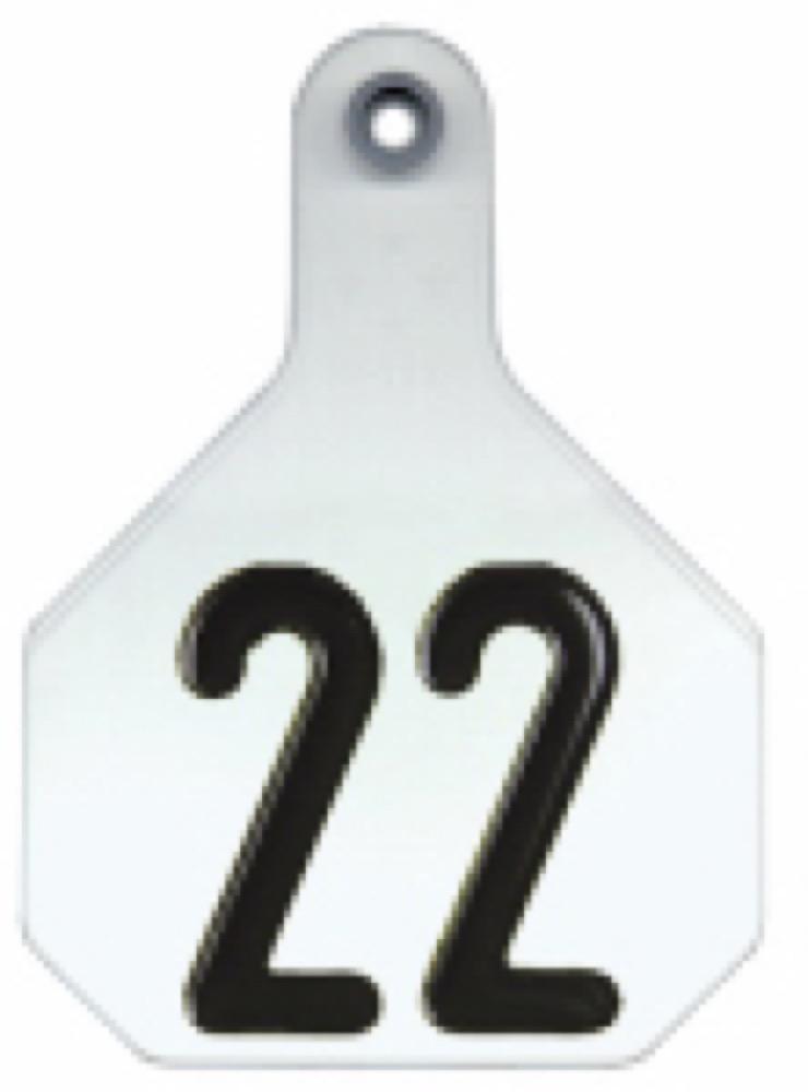 25PK LG WHT Number Tag
