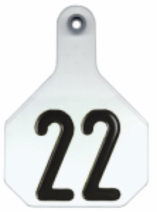 25PK LG WHT Number Tag