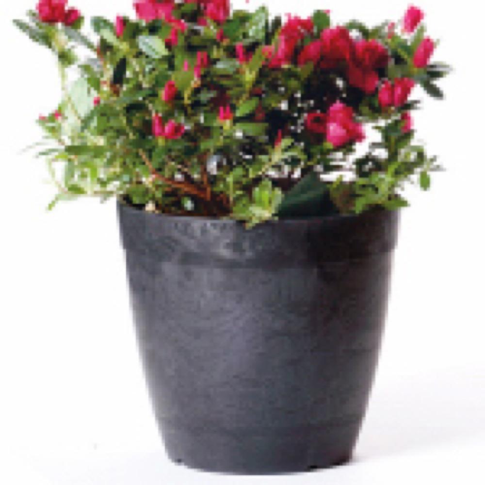 10" BLK Dol RND Planter