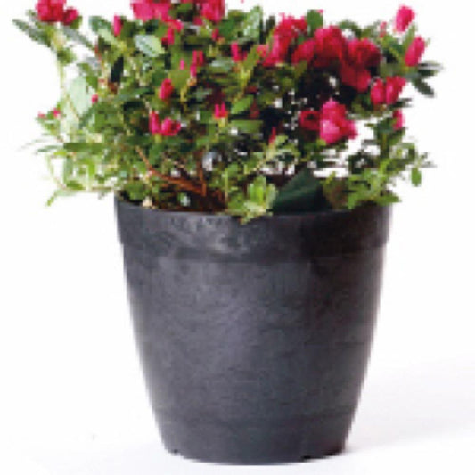 10" BLK Dol RND Planter