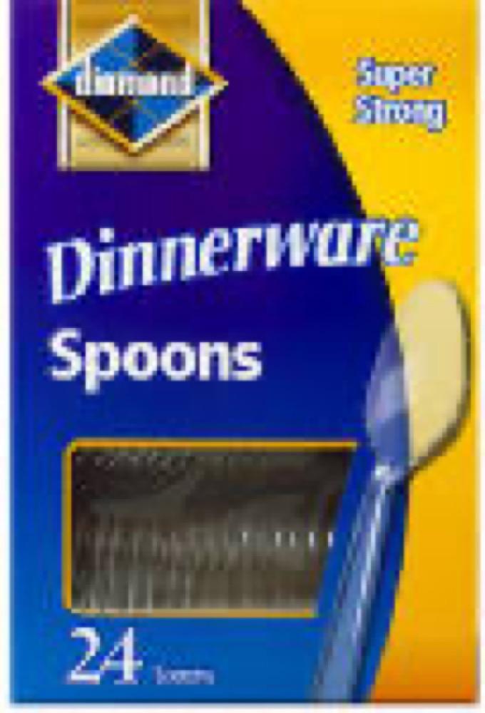 24CT CLR Plas Spoon
