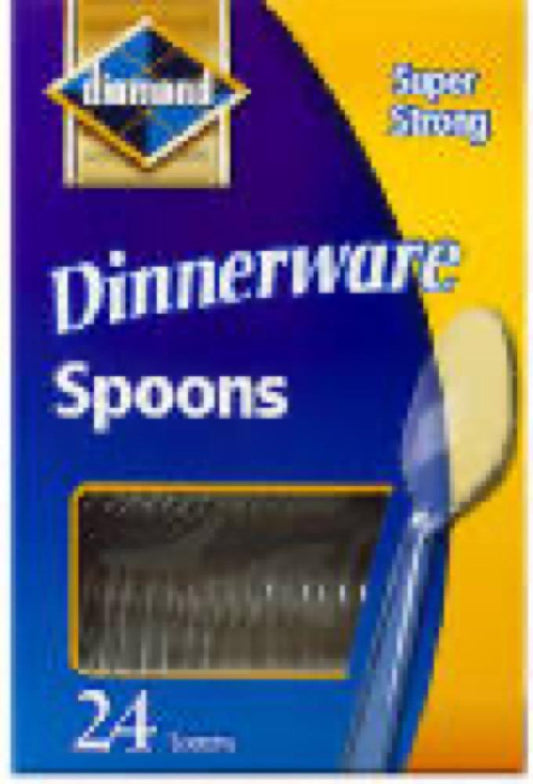 24CT CLR Plas Spoon