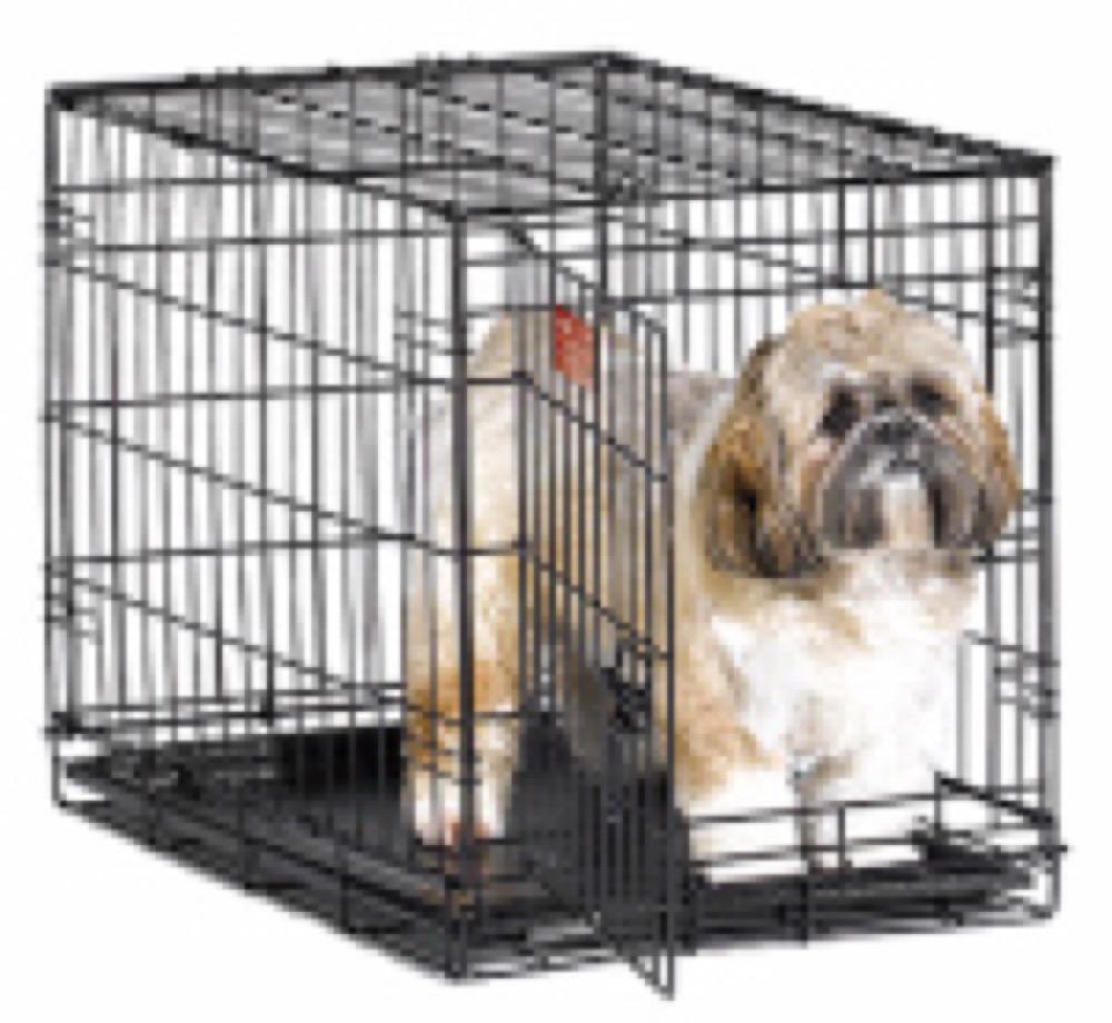 PE 24" SGL DR Dog Crate