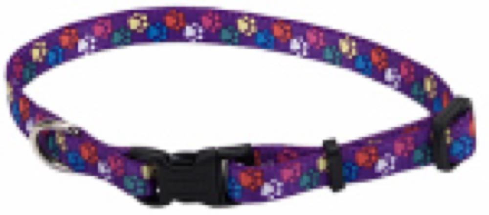 1" 18-26 Paws Collar