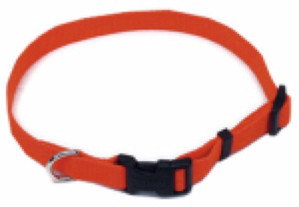 1" ADJ ORG Dog Collar