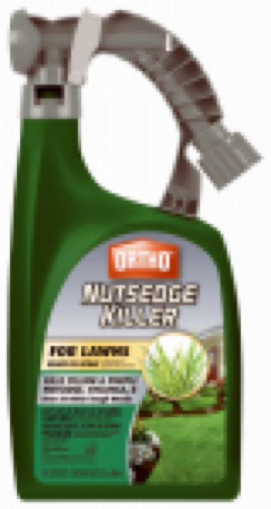 QT RTS Nutsedge