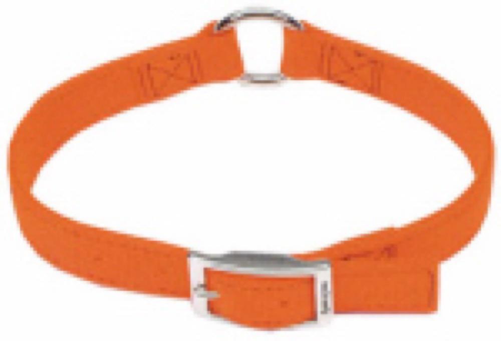 1x18 ORG Dog Collar