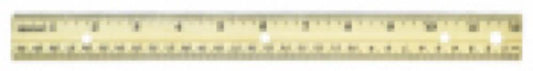 12" Englis/Metric Ruler