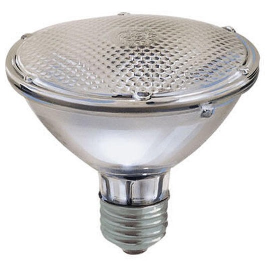 WP 38W Par30 FLD Bulb