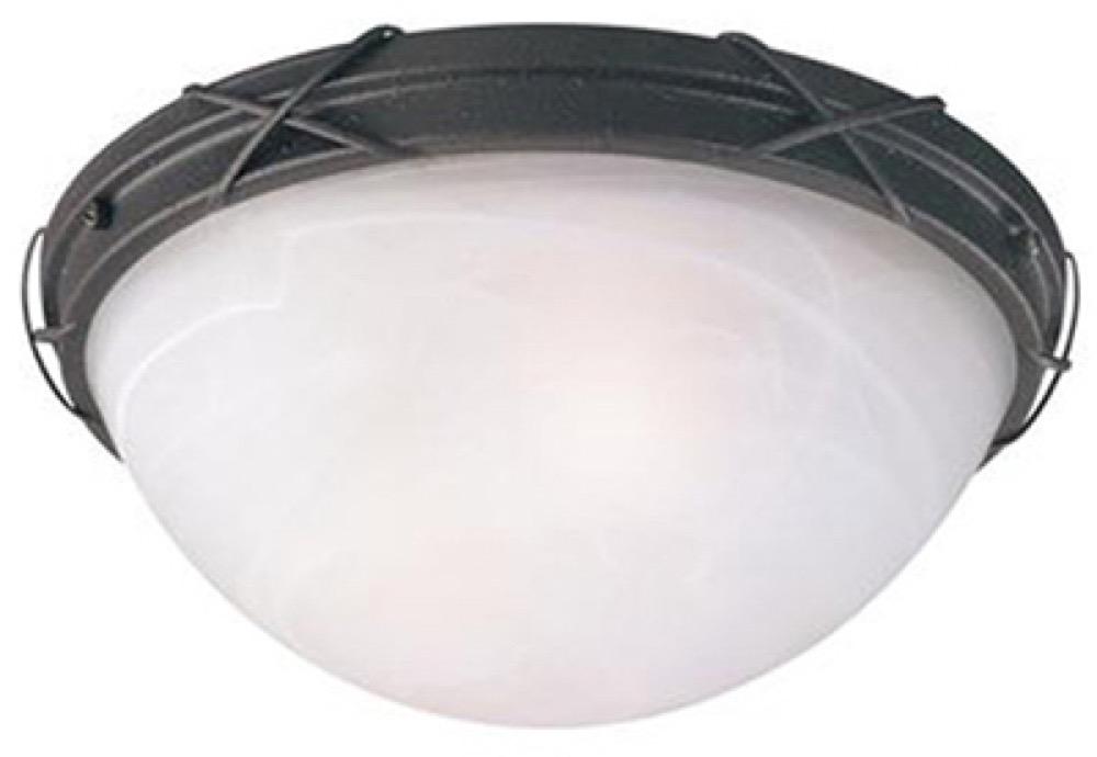 2LGT Ceiling Fixture