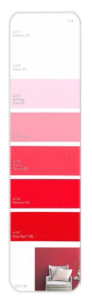 10PK Palette Card A13