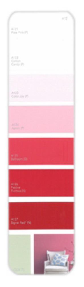 10PK Palette Card A12