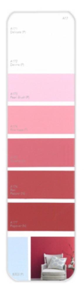 10PK Palette Card A17