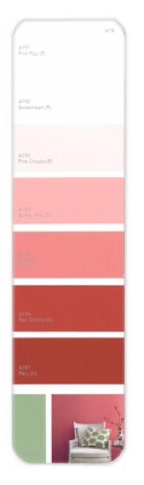 10PK Palette Card A19