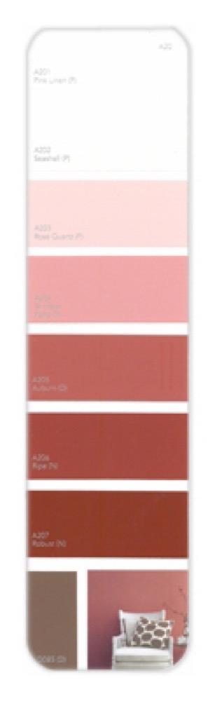 10PK Palette Card A20