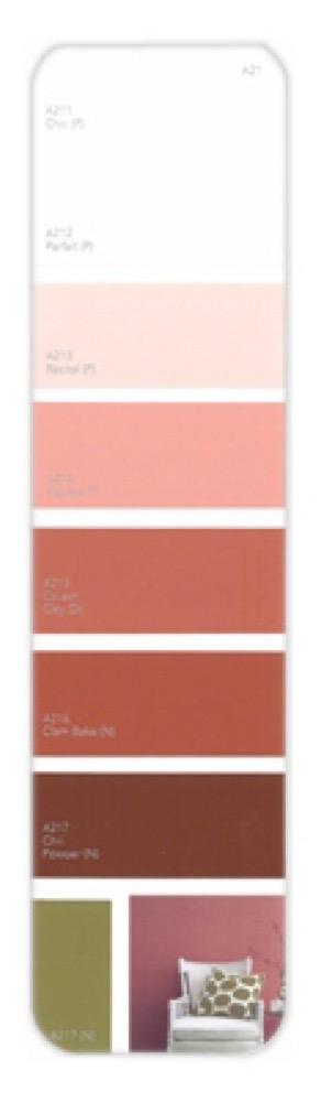 10PK Palette Card A21