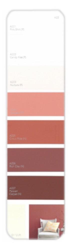 10PK Palette Card A22