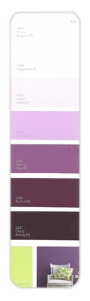 10PK Palette Card A24