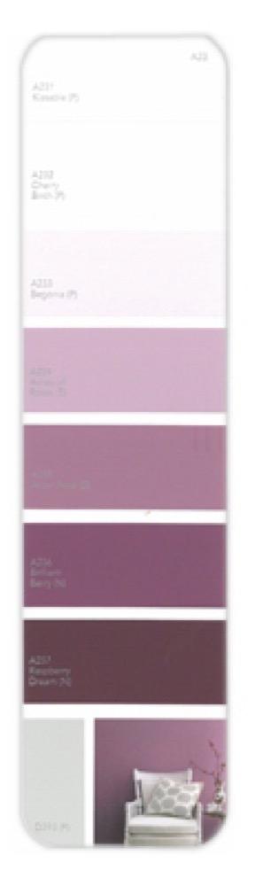 10PK Palette Card A23