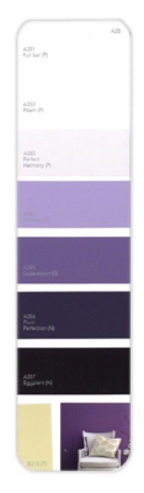 10PK Palette Card A28