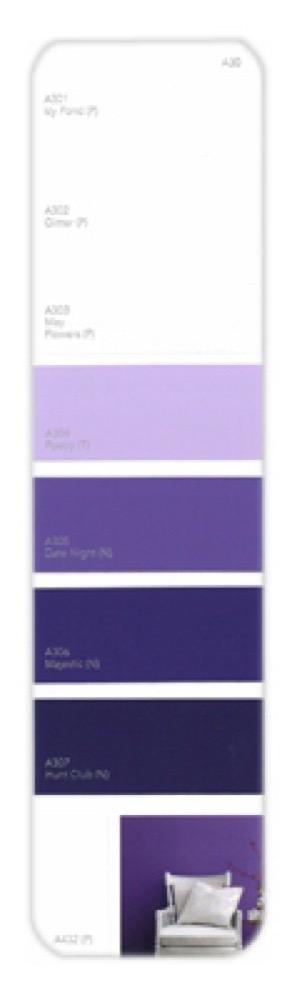 10PK Palette Card A30