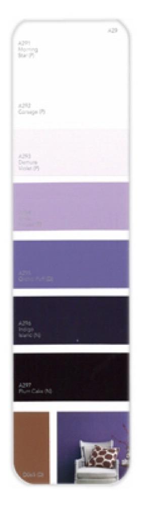 10PK Palette Card A29