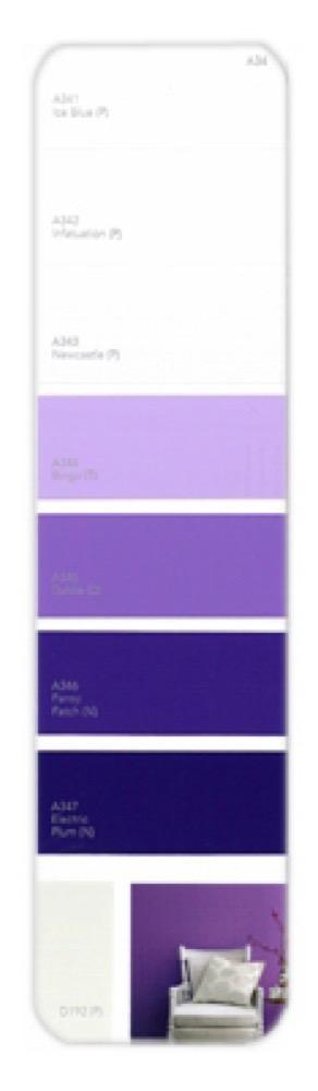 10PK Palette Card A34