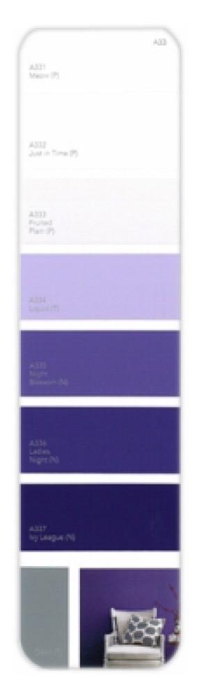 10PK Palette Card A33