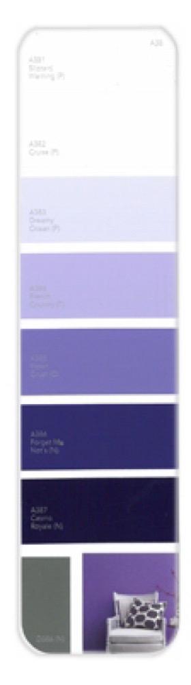 10PK Palette Card A38