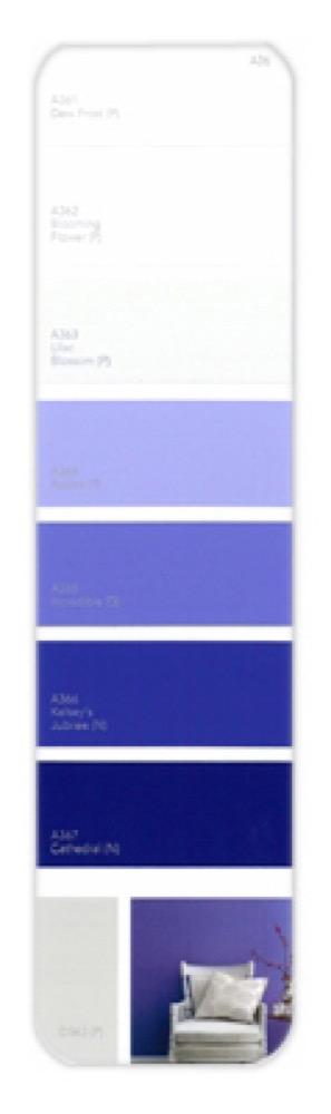 10PK Palette Card A36