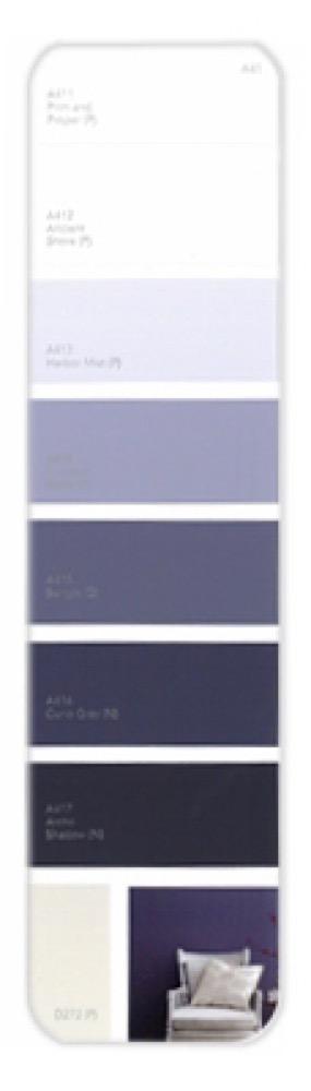 10PK Palette Card A41