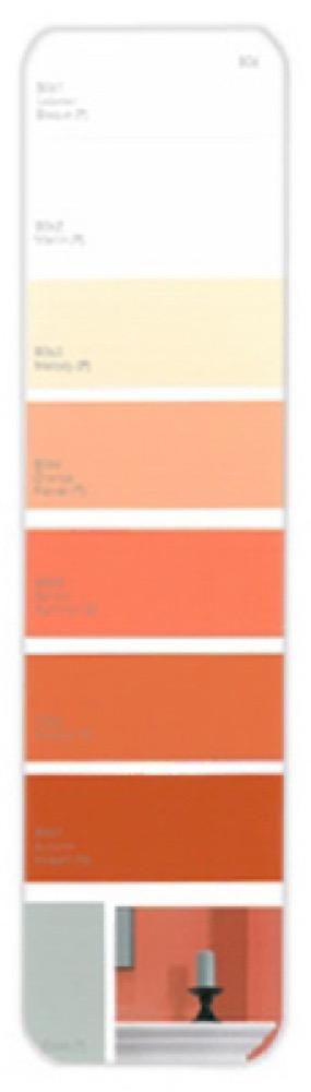 10PK Palette Card B06