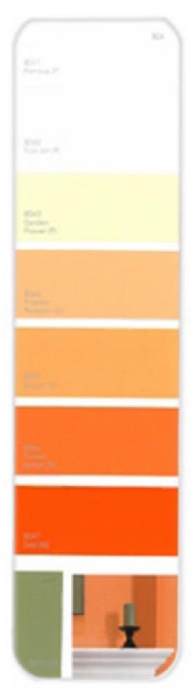 10PK Palette Card B04