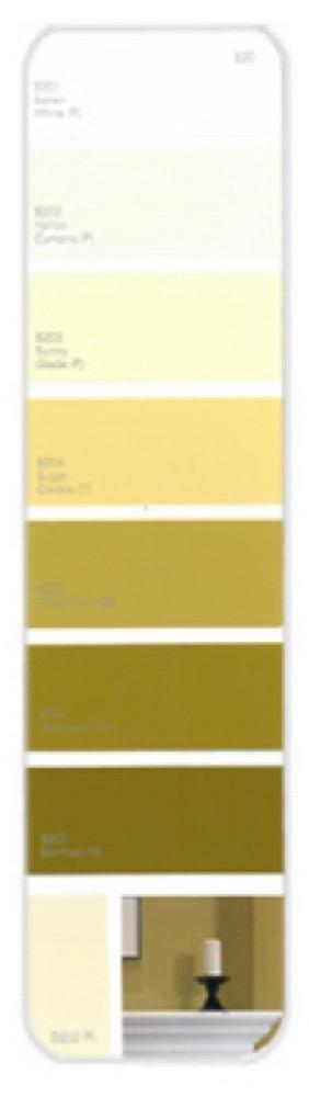 10PK Palette Card B20