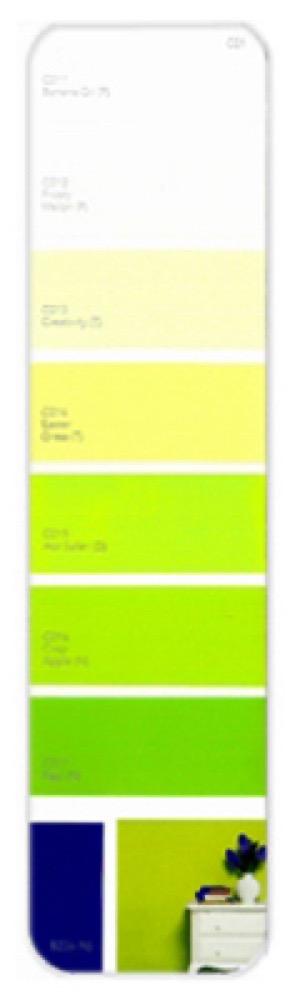 10PK Palette Card C01